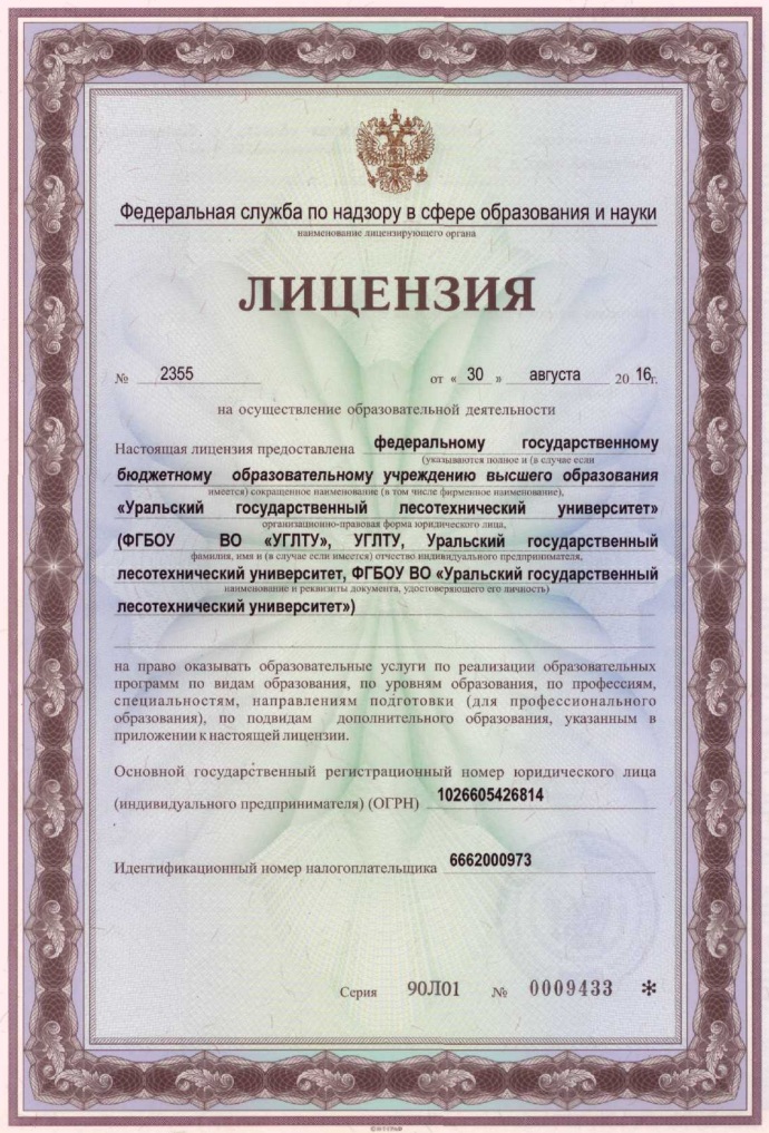 Лицензия1